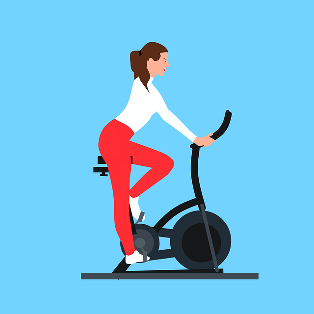 exercise bike-1